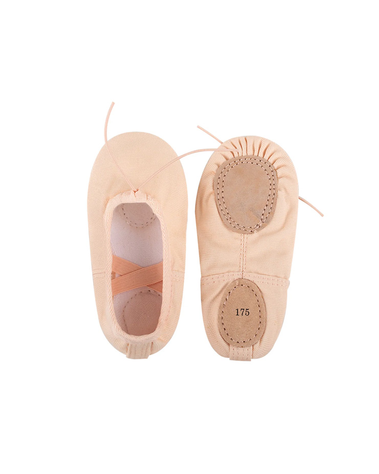 Basic Canvas Shoes [Apricot - Lace-up] Korea