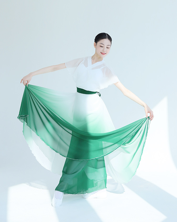 *Gradient Pull Skirt 2